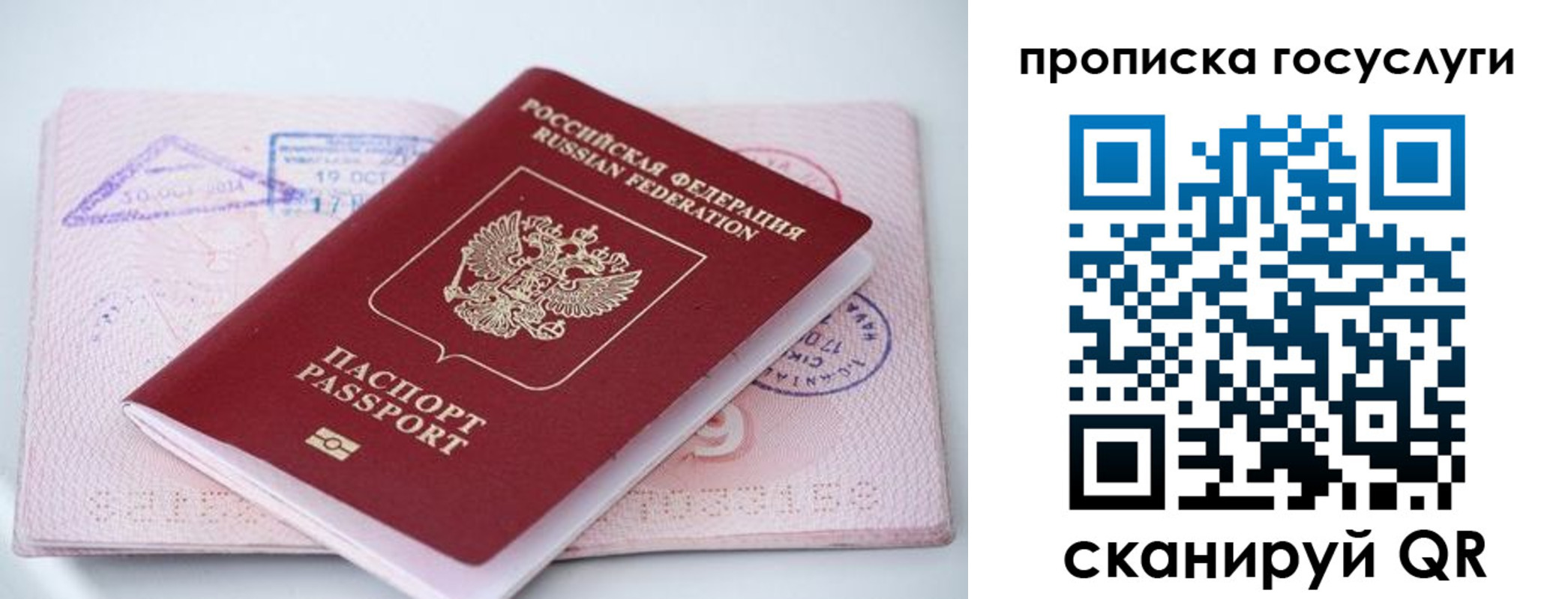 прописка законно в Козловке